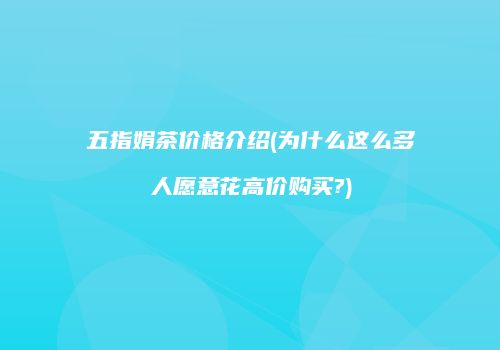 五指娟茶价格介绍(为什么这么多人愿意花高价购买?)