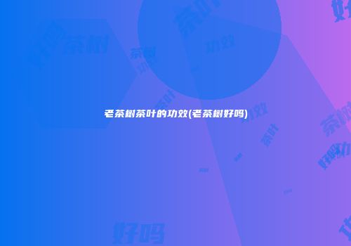 老茶树茶叶的功效(老茶树好吗)