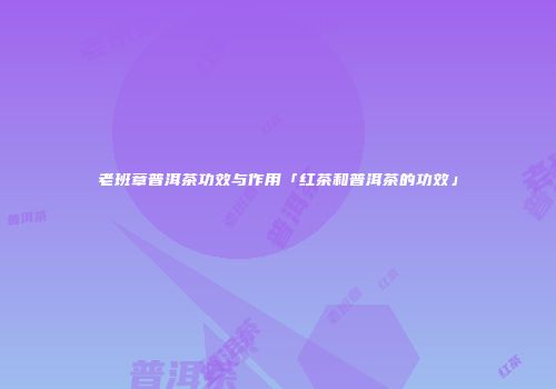 老班章普洱茶功效与作用「红茶和普洱茶的功效」