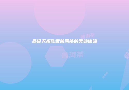 品尝天福陈香普洱茶的美妙体验