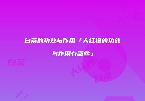 白茶的功效与作用「大红袍的功效与作用有哪些」