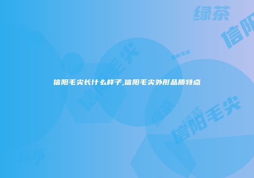 信阳毛尖长什么样子,信阳毛尖外形品质特点