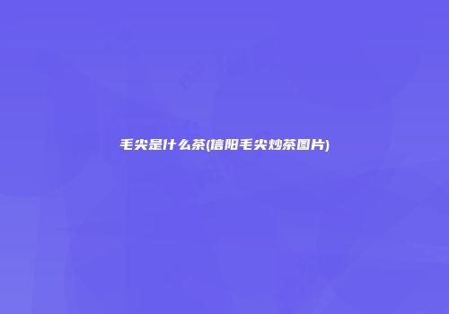 毛尖是什么茶(信阳毛尖炒茶图片)