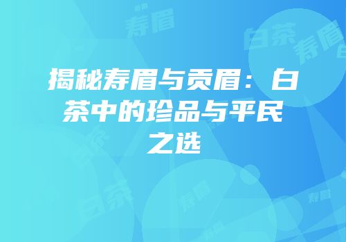 揭秘寿眉与贡眉：白茶中的珍品与平民之选