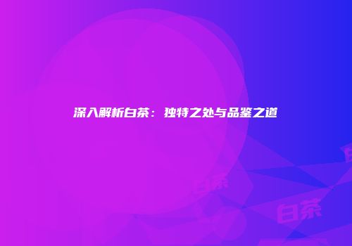 深入解析白茶：独特之处与品鉴之道