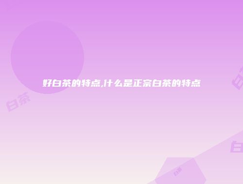 好白茶的特点,什么是正宗白茶的特点