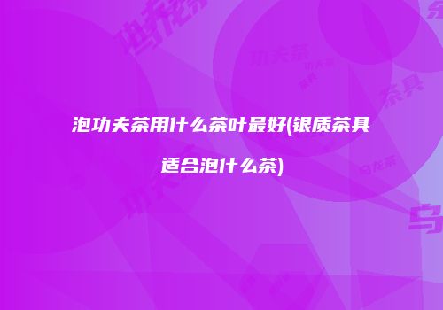 泡功夫茶用什么茶叶最好(银质茶具适合泡什么茶)