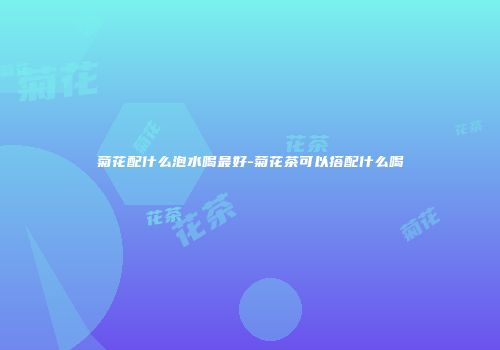 菊花配什么泡水喝最好-菊花茶可以搭配什么喝