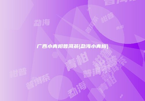 广西小青柑普洱茶(勐海小青柑)
