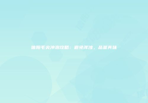 信阳毛尖冲泡攻略：避免浑浊，品鉴真味