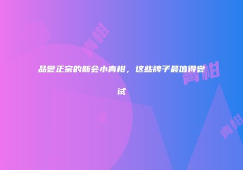 品尝正宗的新会小青柑，这些牌子最值得尝试