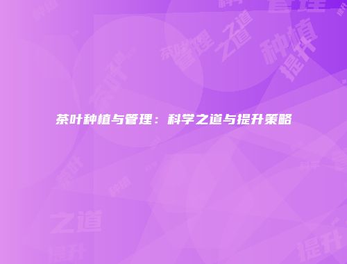 茶叶种植与管理：科学之道与提升策略