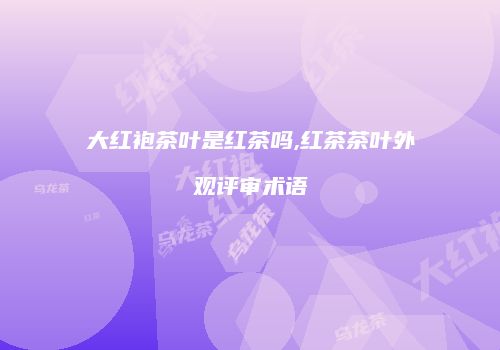 大红袍茶叶是红茶吗,红茶茶叶外观评审术语