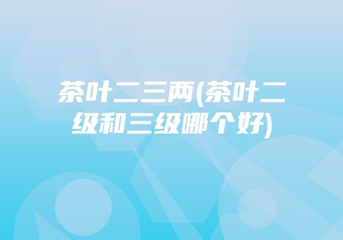 茶叶二三两(茶叶二级和三级哪个好)