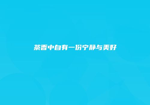 茶香中自有一份宁静与美好