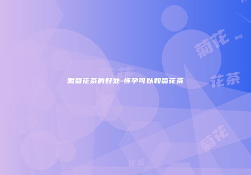 喝菊花茶的好处-怀孕可以和菊花茶