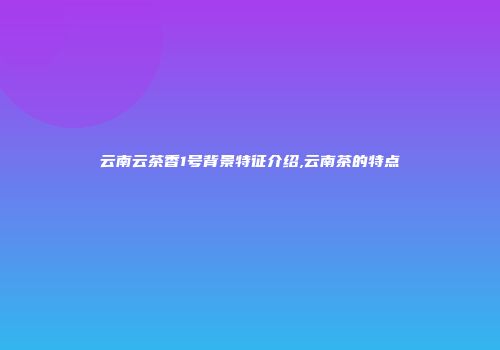 云南云茶香1号背景特征介绍,云南茶的特点