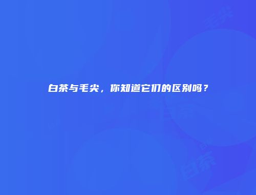 白茶与毛尖，你知道它们的区别吗？