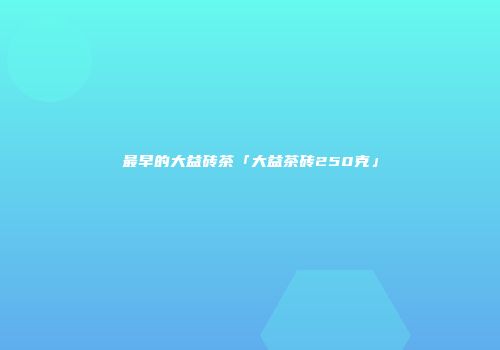 最早的大益砖茶「大益茶砖250克」