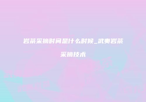 岩茶采摘时间是什么时候_武夷岩茶采摘技术