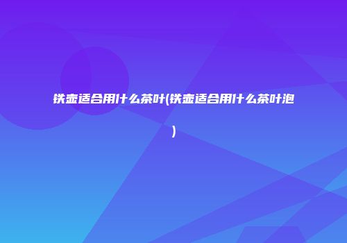 铁壶适合用什么茶叶(铁壶适合用什么茶叶泡)