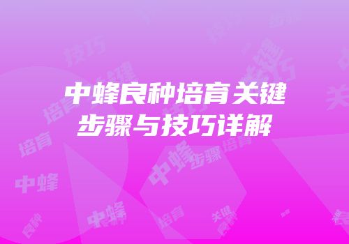 中蜂良种培育关键步骤与技巧详解