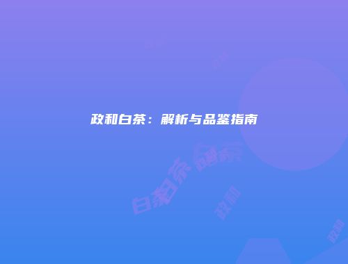 政和白茶：解析与品鉴指南