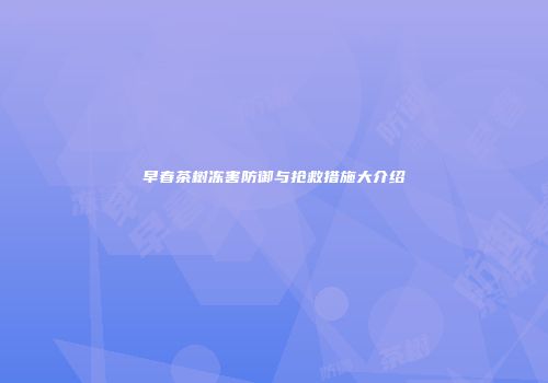 早春茶树冻害防御与抢救措施大介绍