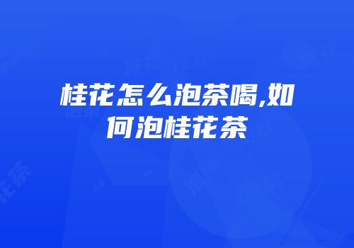 桂花怎么泡茶喝,如何泡桂花茶