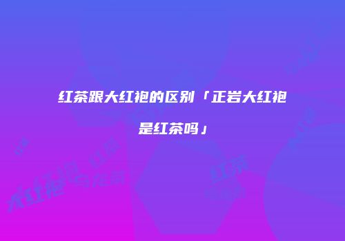 红茶跟大红袍的区别「正岩大红袍是红茶吗」
