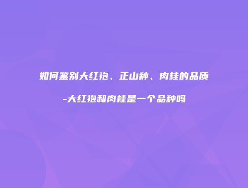 如何鉴别大红袍、正山种、肉桂的品质-大红袍和肉桂是一个品种吗
