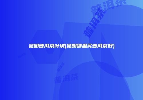 昆明普洱茶叶城(昆明哪里买普洱茶好)