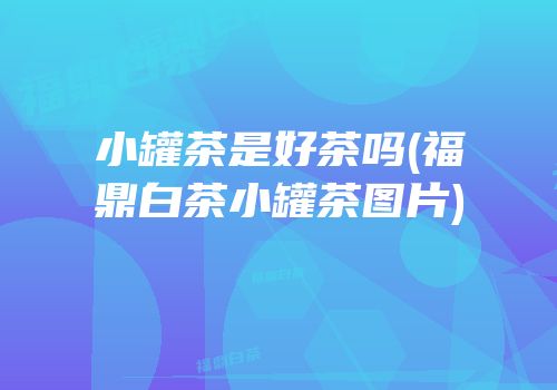 小罐茶是好茶吗(福鼎白茶小罐茶图片)