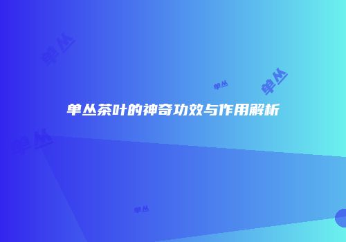 单丛茶叶的神奇功效与作用解析