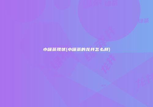 小罐茶现状(小罐茶的龙井怎么样)