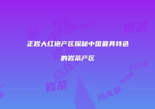 正岩大红袍产区探秘中国最具特色的岩茶产区