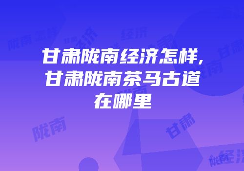 甘肃陇南经济怎样,甘肃陇南茶马古道在哪里