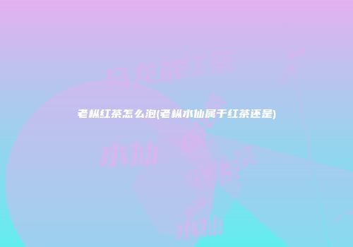 老枞红茶怎么泡(老枞水仙属于红茶还是)