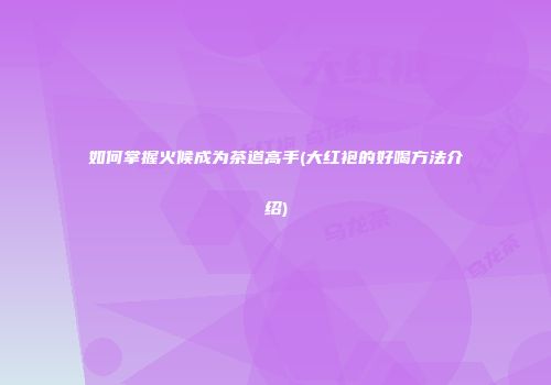 如何掌握火候成为茶道高手(大红袍的好喝方法介绍)