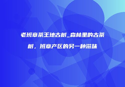 老班章茶王地古树_森林里的古茶树，班章产区的另一种滋味