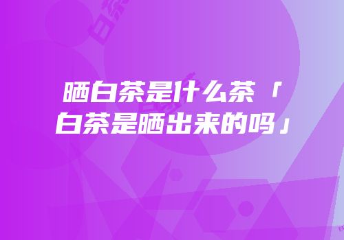 晒白茶是什么茶「白茶是晒出来的吗」
