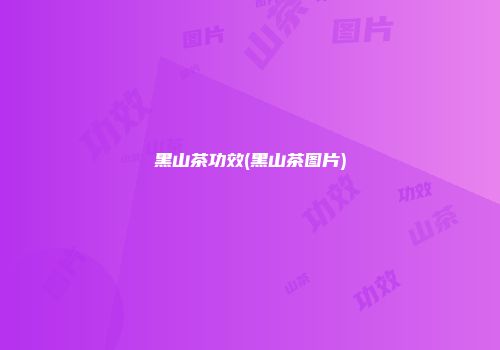 黑山茶功效(黑山茶图片)