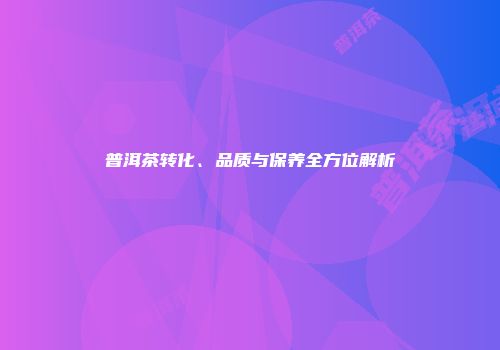 普洱茶转化、品质与保养全方位解析