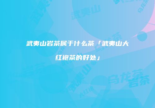 武夷山岩茶属于什么茶「武夷山大红袍茶的好处」
