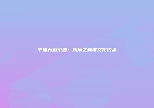 中国万亩茶园：规模之美与文化传承