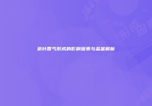 茶叶香气形成的影响因素与品鉴解析