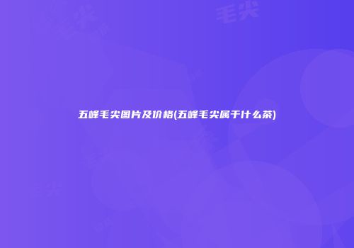 五峰毛尖图片及价格(五峰毛尖属于什么茶)