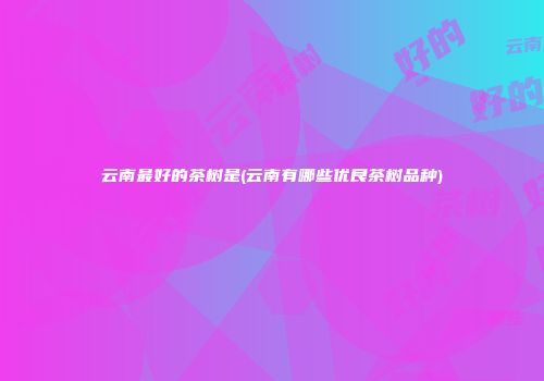 云南最好的茶树是(云南有哪些优良茶树品种)