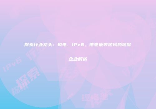 探索行业龙头：风电、IPv6、锂电池等领域的领军企业解析