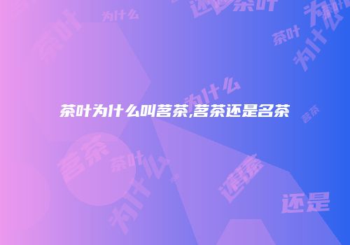 茶叶为什么叫茗茶,茗茶还是名茶